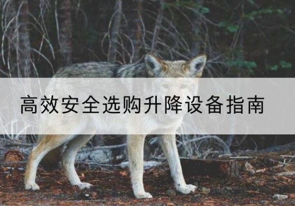 申扎升降货梯厂家推荐-*安全选购升降设备指南