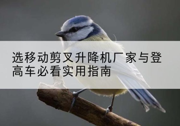 申扎电动升降机厂家-选移动剪叉升降机厂家与登高车必看实用指南